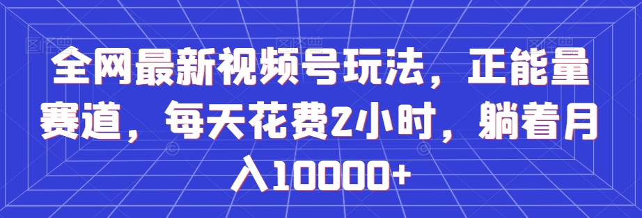 全网最新视频号玩法，正能量赛道，每天花费2小时，躺着月入10000+【揭秘】-副业资源站 | 数域行者