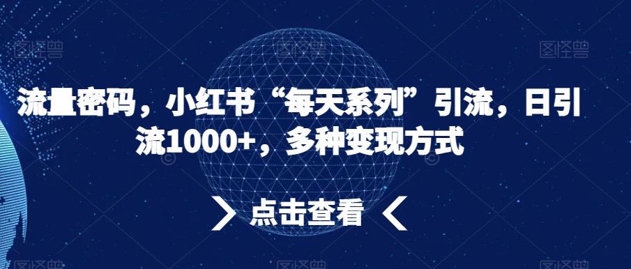 流量密码，小红书“每天系列”引流，日引流1000+，多种变现方式【揭秘】-副业资源站 | 数域行者