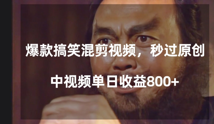 爆款搞笑混剪视频，百分百过原创，单日中视频播放收益800+【揭秘】-副业资源站 | 数域行者