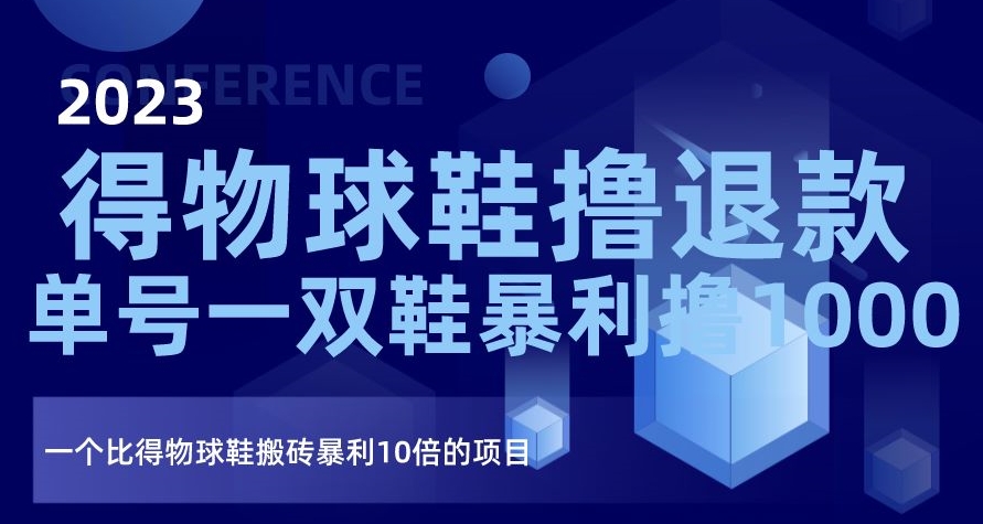 2023得物球鞋撸退款，单号一双鞋暴利撸1000，一个比得物球鞋搬砖暴利10倍的项目【揭秘】-副业资源站 | 数域行者