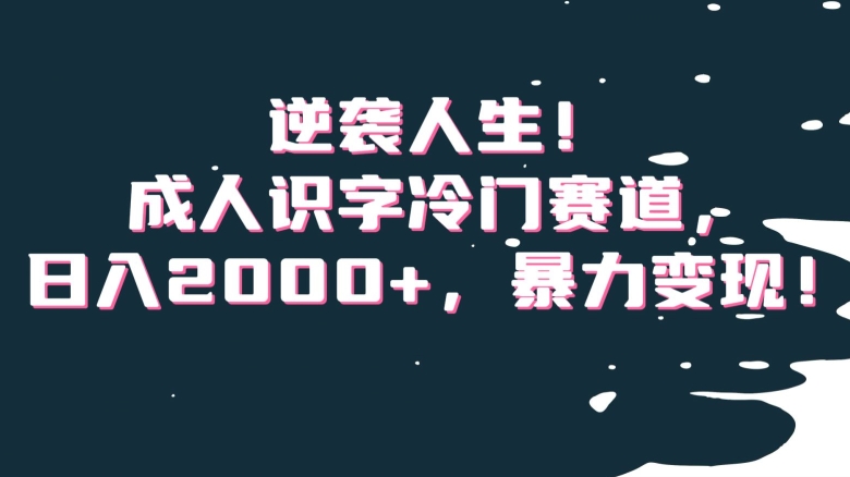 逆袭人生！成人识字冷门赛道，日入2000+，暴力变现！【揭秘】-副业资源站 | 数域行者