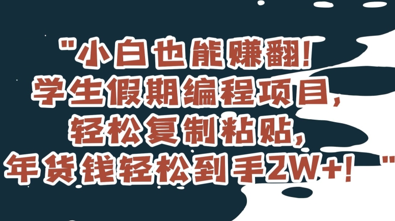 小白也能赚翻！学生假期编程项目，轻松复制粘贴，年货钱轻松到手2W+【揭秘】-副业资源站 | 数域行者