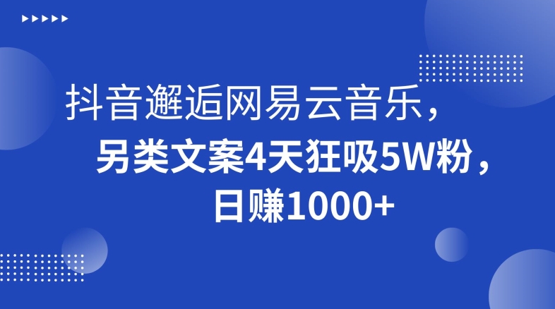 抖音邂逅网易云音乐，另类文案4天狂吸5W粉，日赚1000+【揭秘】-副业资源站 | 数域行者