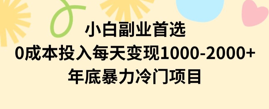 小白副业首选，0成本投入，每天变现1000-2000年底暴力冷门项目【揭秘】-副业资源站 | 数域行者