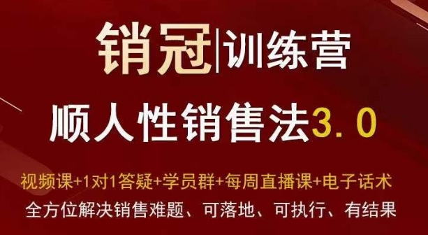 爆款！销冠训练营3.0之顺人性销售法，全方位解决销售难题、可落地、可执行、有结果-副业资源站 | 数域行者