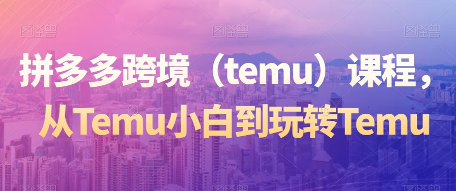 拼多多跨境（temu）课程，从Temu小白到玩转Temu-副业资源站 | 数域行者