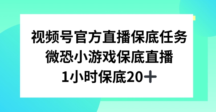 视频号直播任务，微恐小游戏，1小时20+【揭秘】-副业资源站 | 数域行者