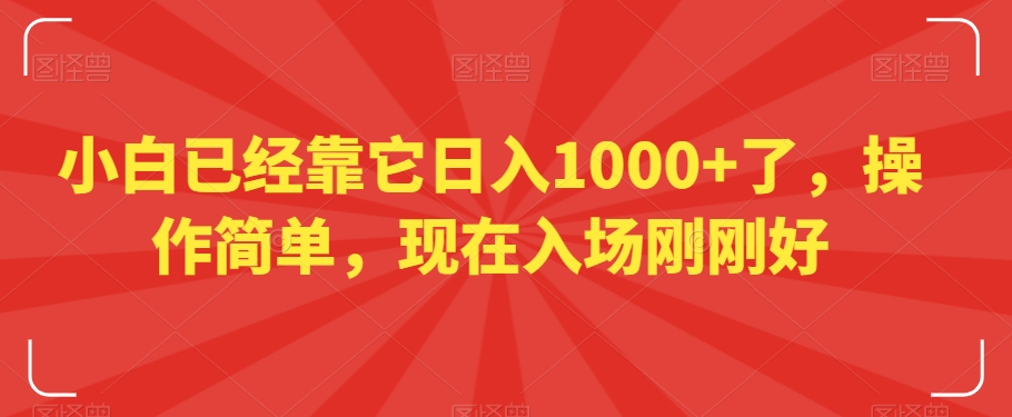 小白已经靠它日入1000+了，操作简单，现在入场刚刚好【揭秘】-副业资源站 | 数域行者