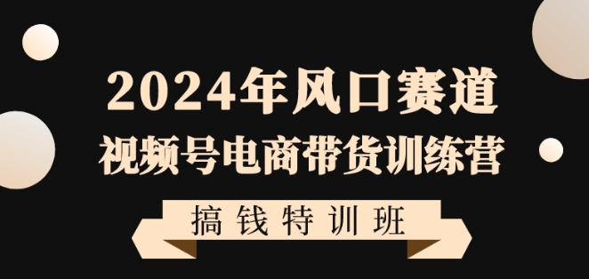 2024年风口赛道视频号电商带货训练营搞钱特训班，带领大家快速入局自媒体电商带货-副业资源站 | 数域行者