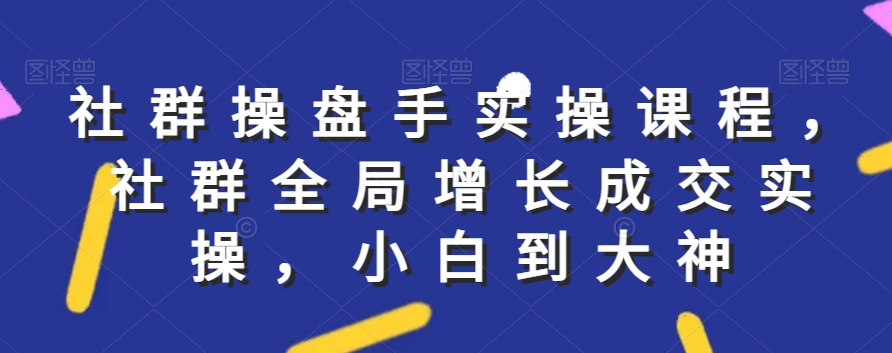 社群实操课程，社群全局增长成交实操，小白到大神-副业资源站 | 数域行者