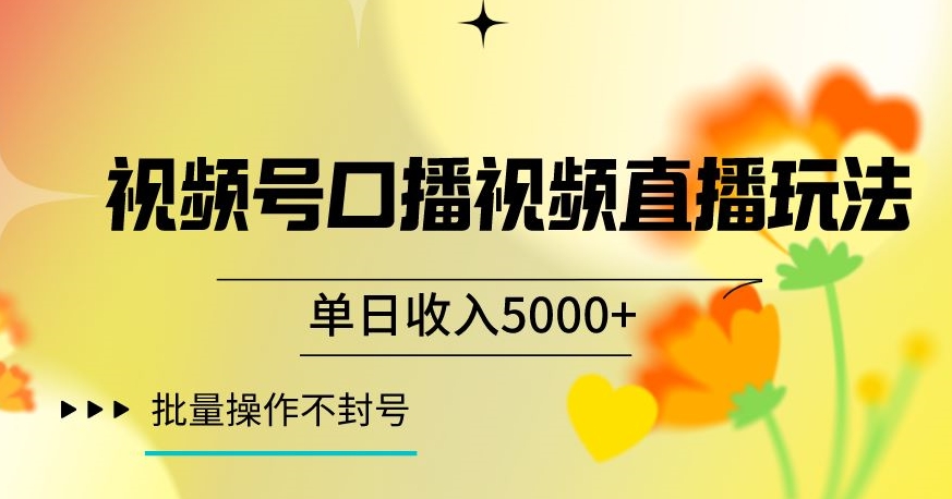 视频号囗播视频直播玩法，单日收入5000+，批量操作不封号【揭秘】-副业资源站 | 数域行者