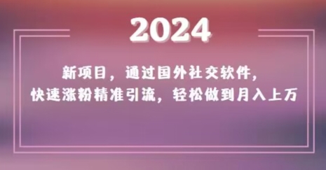 2024新项目，通过国外社交软件，快速涨粉精准引流，轻松做到月入上万【揭秘】-副业资源站 | 数域行者