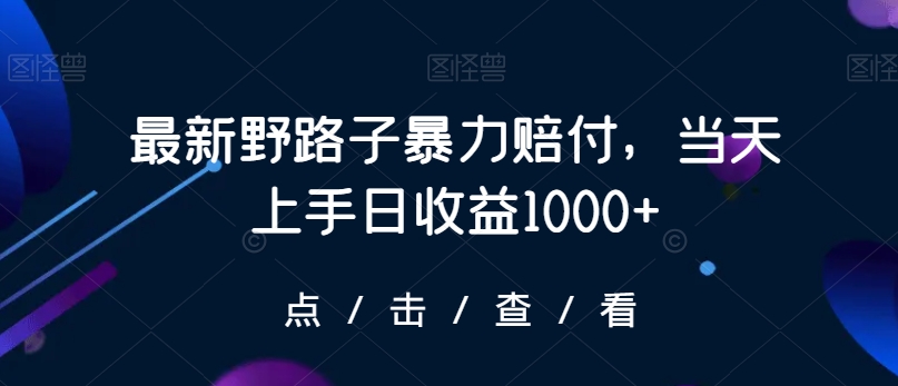 最新野路子暴力赔付，当天上手日收益1000+【仅揭秘】-副业资源站 | 数域行者