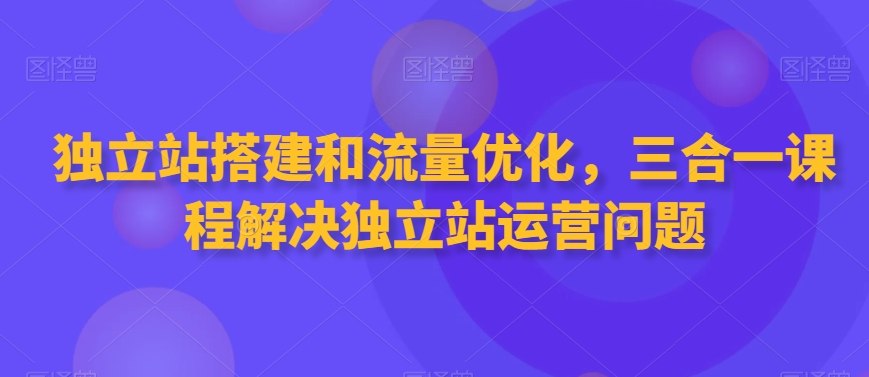 独立站搭建和流量优化，三合一课程解决独立站运营问题-副业资源站 | 数域行者