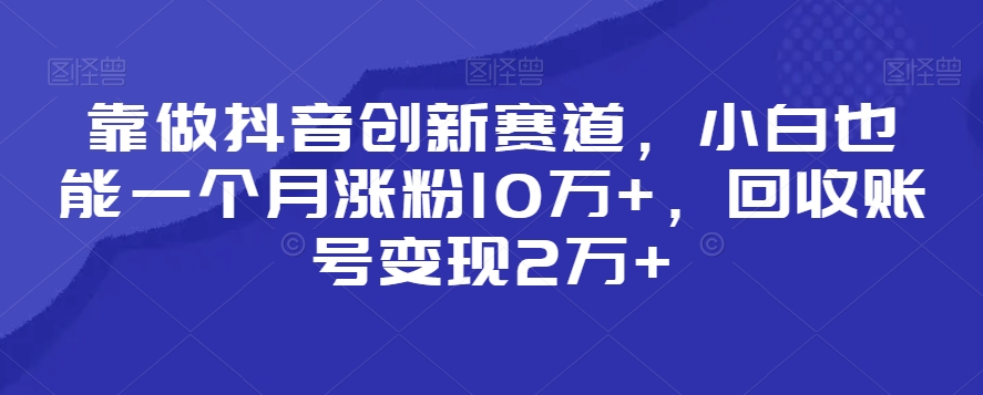 靠做抖音创新赛道，小白也能一个月涨粉10万+，回收账号变现2万+【揭秘】-副业资源站 | 数域行者