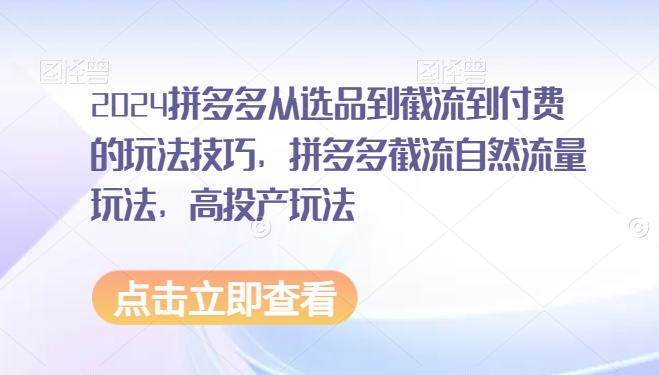 2024拼多多从选品到截流到付费的玩法技巧，拼多多截流自然流量玩法，高投产玩法-副业资源站 | 数域行者