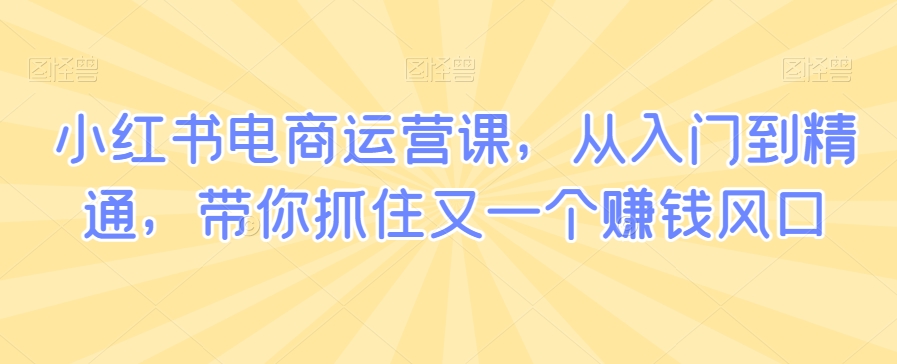 小红书电商运营课，从入门到精通，带你抓住又一个赚钱风口-副业资源站 | 数域行者