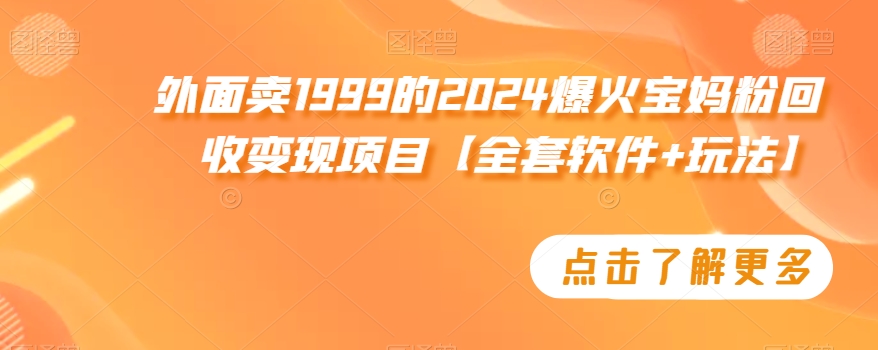 外面卖1999的2024爆火宝妈粉回收变现项目【全套软件+玩法】【揭秘】-副业资源站 | 数域行者