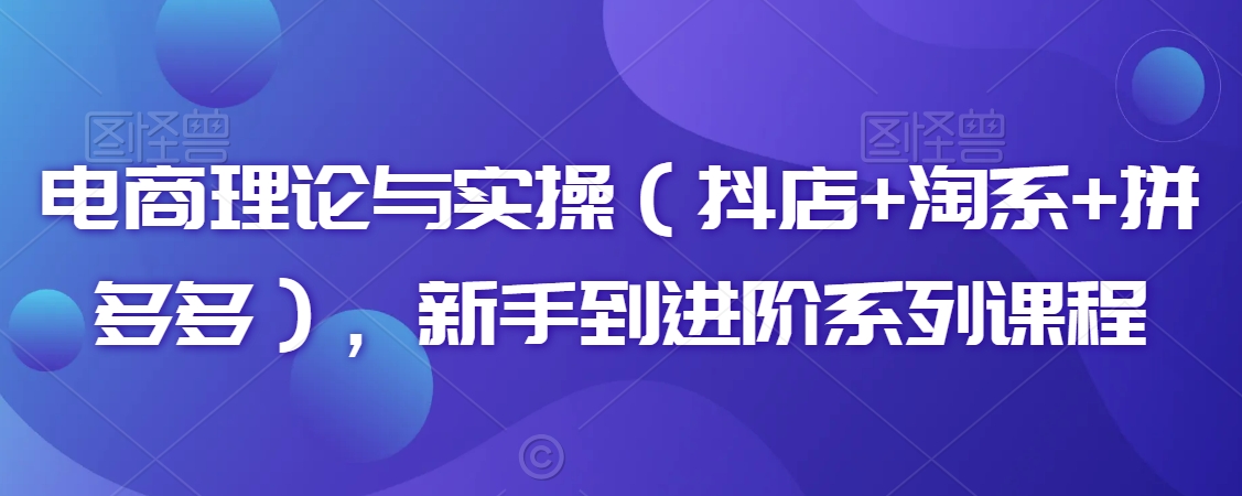 电商理论与实操（抖店+淘系+拼多多），新手到进阶系列课程-副业资源站 | 数域行者