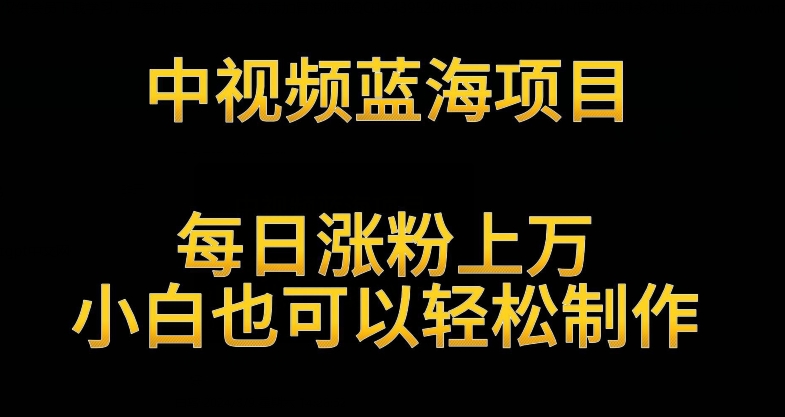 中视频蓝海项目，解读英雄人物生平，每日涨粉上万，小白也可以轻松制作，月入过万不是梦【揭秘】-副业资源站 | 数域行者