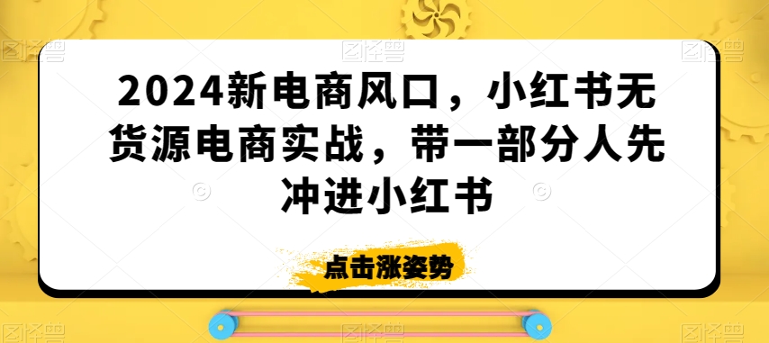 2024新电商风口，小红书无货源电商实战，带一部分人先冲进小红书-副业资源站 | 数域行者