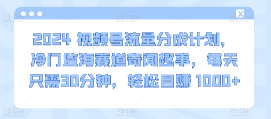 2024视频号流量分成计划，冷门监海赛道奇闻趣事，每天只需30分钟，轻松目赚 1000+【揭秘】-副业资源站 | 数域行者