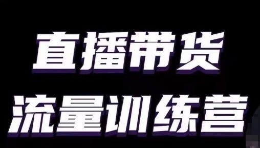 直播带货流量训练营，小白主播必学直播课-副业资源站 | 数域行者