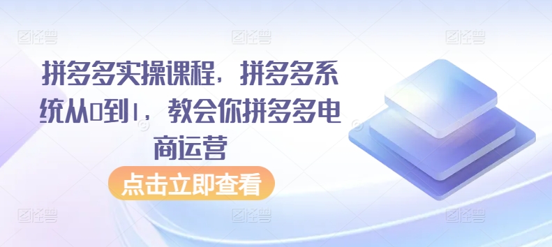 拼多多实操课程，拼多多系统从0到1，教会你拼多多电商运营-副业资源站 | 数域行者