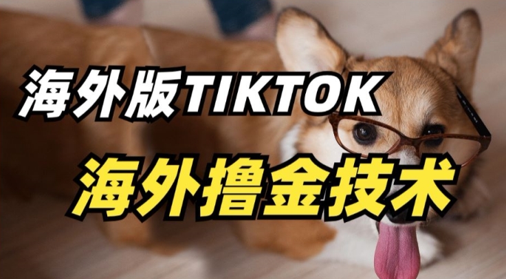 抖音海外版tiktok撸金技术，这个风口行业，赚钱真的不难【揭秘】-副业资源站 | 数域行者