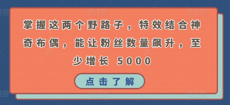 掌握这两个野路子，特效结合神奇布偶，能让粉丝数量飙升，至少增长 5000【揭秘】-副业资源站 | 数域行者