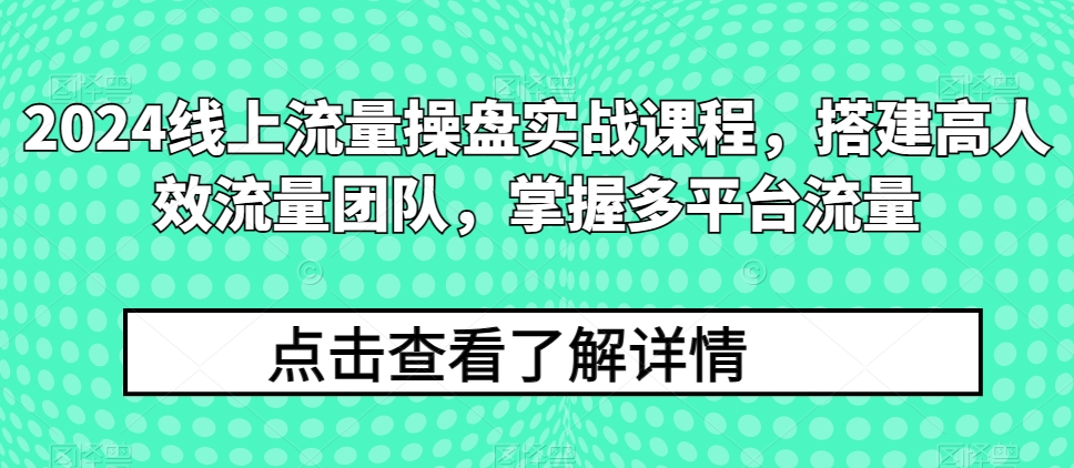 2024线上流量操盘实战课程，搭建高人效流量团队，掌握多平台流量-副业资源站 | 数域行者