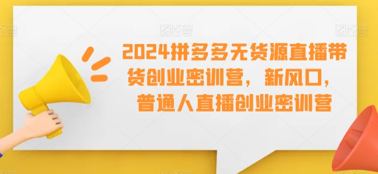 2024拼多多无货源直播带货创业密训营，新风口，普通人直播创业密训营-副业资源站 | 数域行者