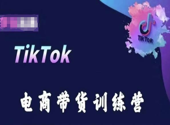 TikTok电商带货训练营，跟随时代潮流，跨境掘金-副业资源站 | 数域行者