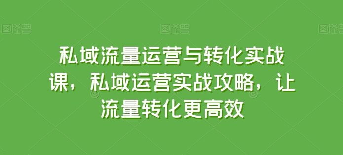 私域流量运营与转化实战课，私域运营实战攻略，让流量转化更高效-副业资源站 | 数域行者