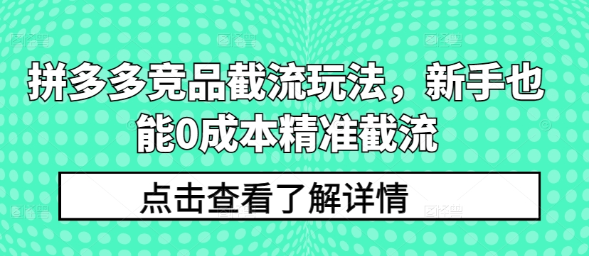 拼多多竞品截流玩法，新手也能0成本精准截流-副业资源站 | 数域行者