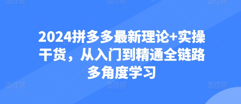 2024拼多多最新理论+实操干货，从入门到精通全链路多角度学习-副业资源站 | 数域行者