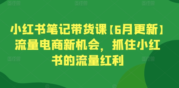 小红书笔记带货课【6月更新】流量电商新机会，抓住小红书的流量红利-副业资源站 | 数域行者