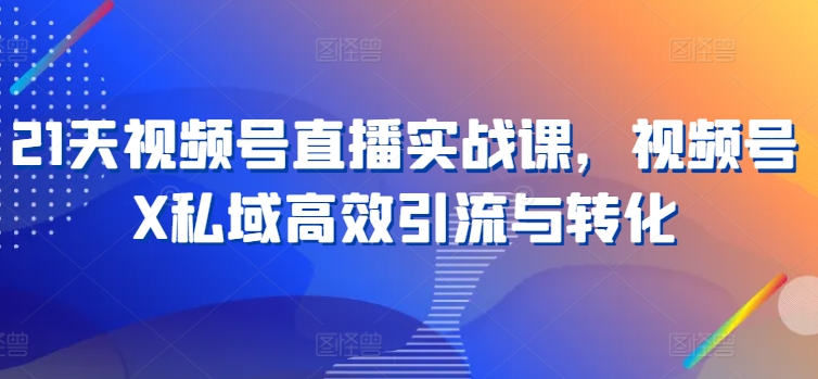 21天视频号直播实战课，视频号X私域高效引流与转化-副业资源站 | 数域行者