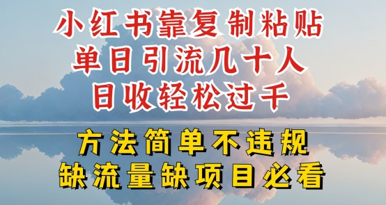 小红书靠复制粘贴单日引流几十人目收轻松过千，方法简单不违规【揭秘】-副业资源站 | 数域行者