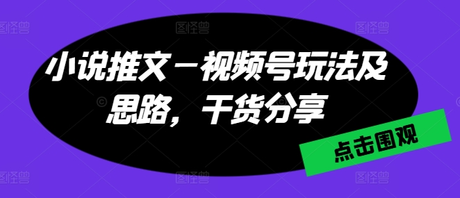 小说推文—视频号玩法及思路，干货分享-副业资源站 | 数域行者