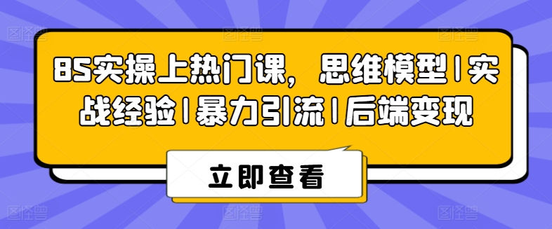 8S实操上热门课，思维模型|实战经验|暴力引流|后端变现-副业资源站 | 数域行者