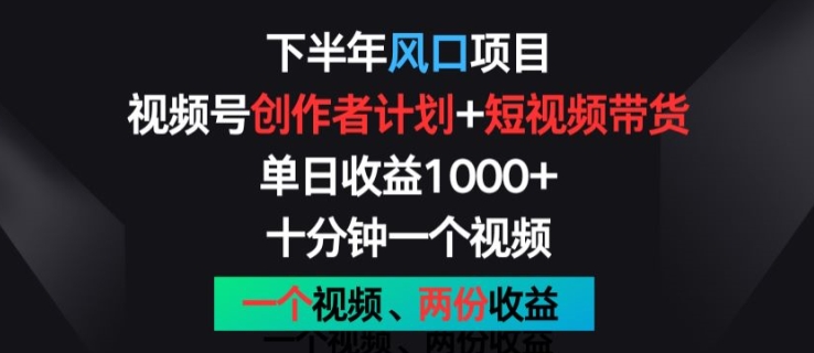 下半年风口项目，视频号创作者计划+视频带货，一个视频两份收益，十分钟一个视频【揭秘】-副业资源站 | 数域行者