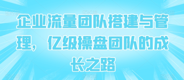 企业流量团队搭建与管理，亿级操盘团队的成长之路-副业资源站 | 数域行者