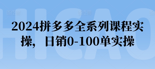 2024拼多多全系列课程实操，日销0-100单实操【必看】-副业资源站 | 数域行者