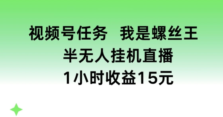 视频号任务，我是螺丝王， 半无人挂机1小时收益15元【揭秘】-副业资源站 | 数域行者