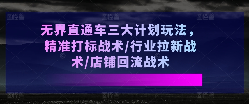 无界直通车三大计划玩法，精准打标战术/行业拉新战术/店铺回流战术-副业资源站 | 数域行者