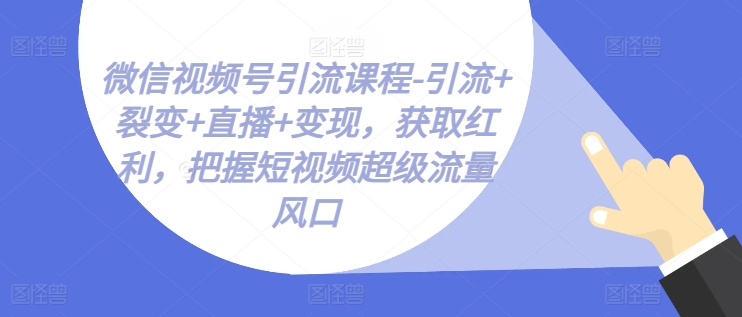 微信视频号引流课程-引流+裂变+直播+变现，获取红利，把握短视频超级流量风口-副业资源站 | 数域行者