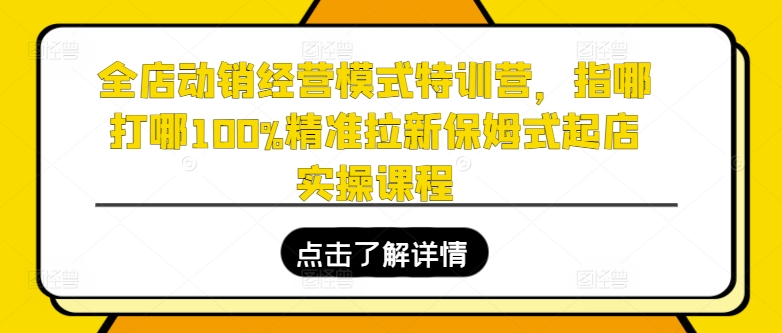 全店动销经营模式特训营，指哪打哪100%精准拉新保姆式起店实操课程-副业资源站 | 数域行者