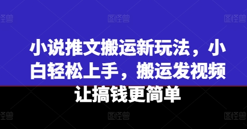 小说推文搬运新玩法，小白轻松上手，搬运发视频让搞钱更简单-副业资源站 | 数域行者