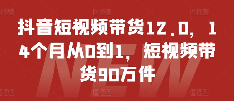 抖音短视频带货12.0，14个月从0到1，短视频带货90万件-副业资源站 | 数域行者